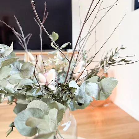 Daire Penthouse *a La Belle Etoile* Wahlbach