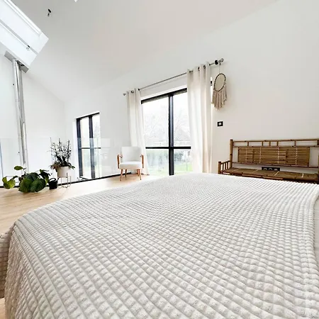 Penthouse *a La Belle Etoile* Apartment Wahlbach
